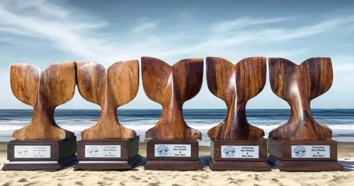 Companies receive awards for Protecting Blue Whales & Blue Skies